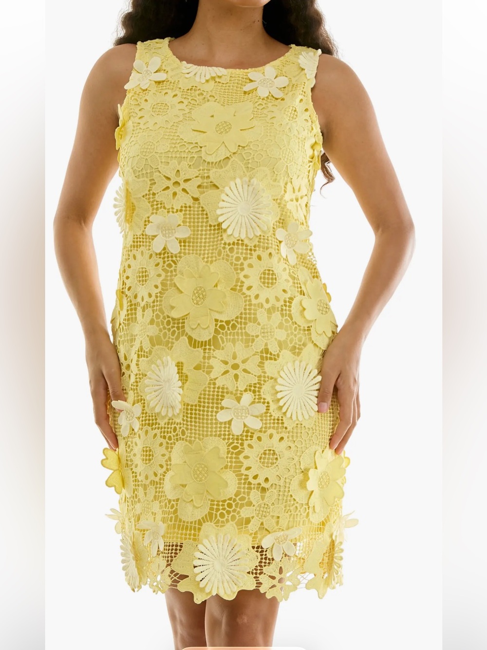 Dress Subcategory Identification